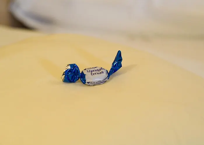 Alpenhotel Fernau Ξενοδοχείο Neustift im Stubaital